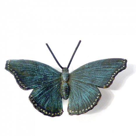blu butterfly, 