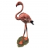 pink flamingo, amazing