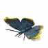 butterfly, blue-yellow